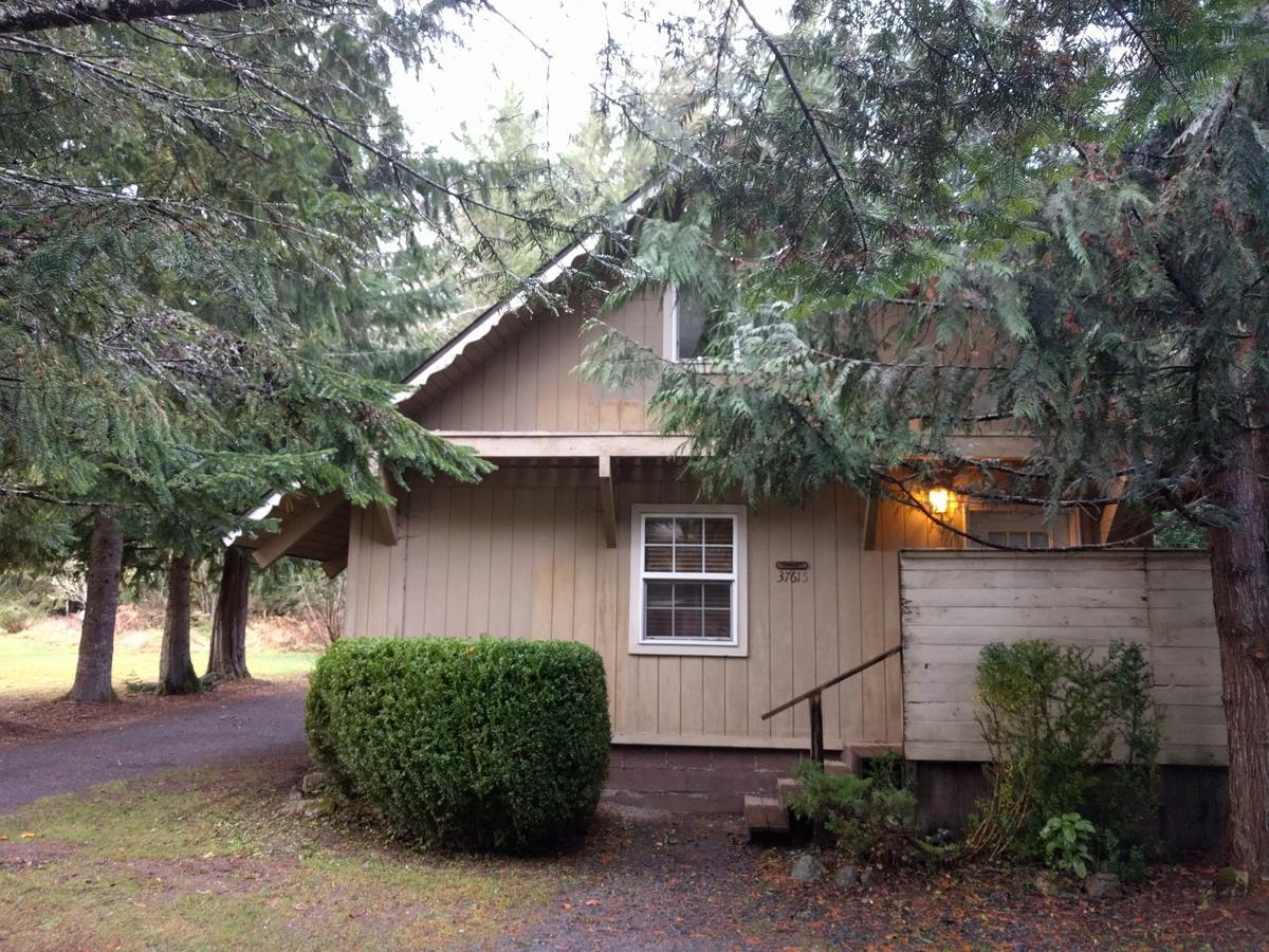 Chalet At Mt. Rainier Villa Ashford Bagian luar foto
