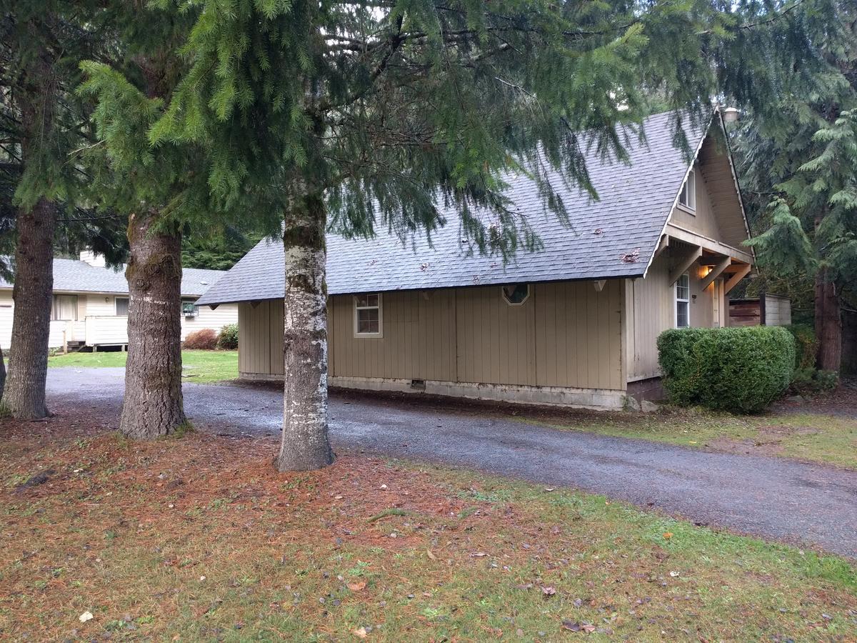 Chalet At Mt. Rainier Villa Ashford Bagian luar foto